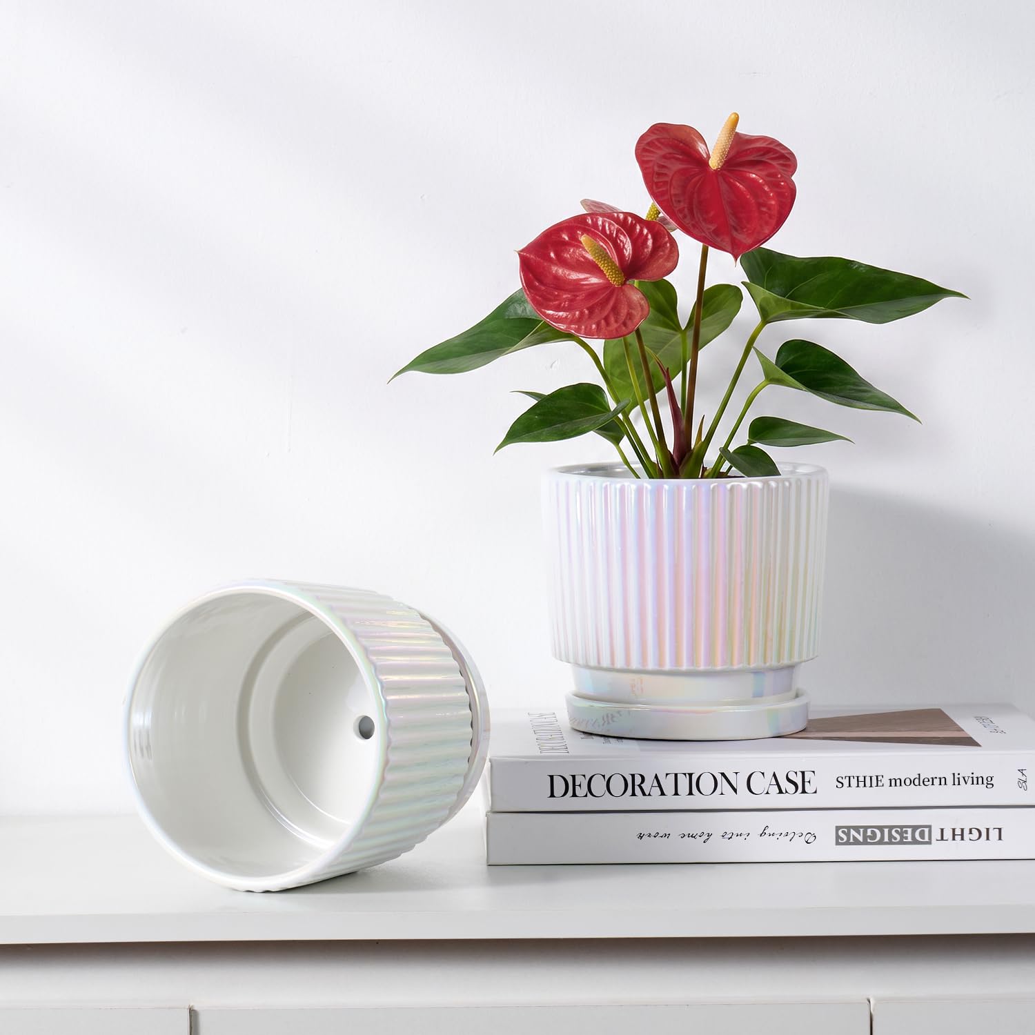 Lot de 2 pots de fleurs en céramique avec trous de drainage et soucoupe