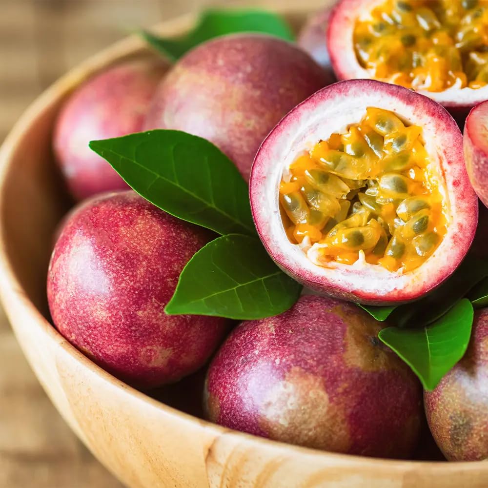 Amazon.com : 15+ Tropical Passion Fruit Seeds for Planting