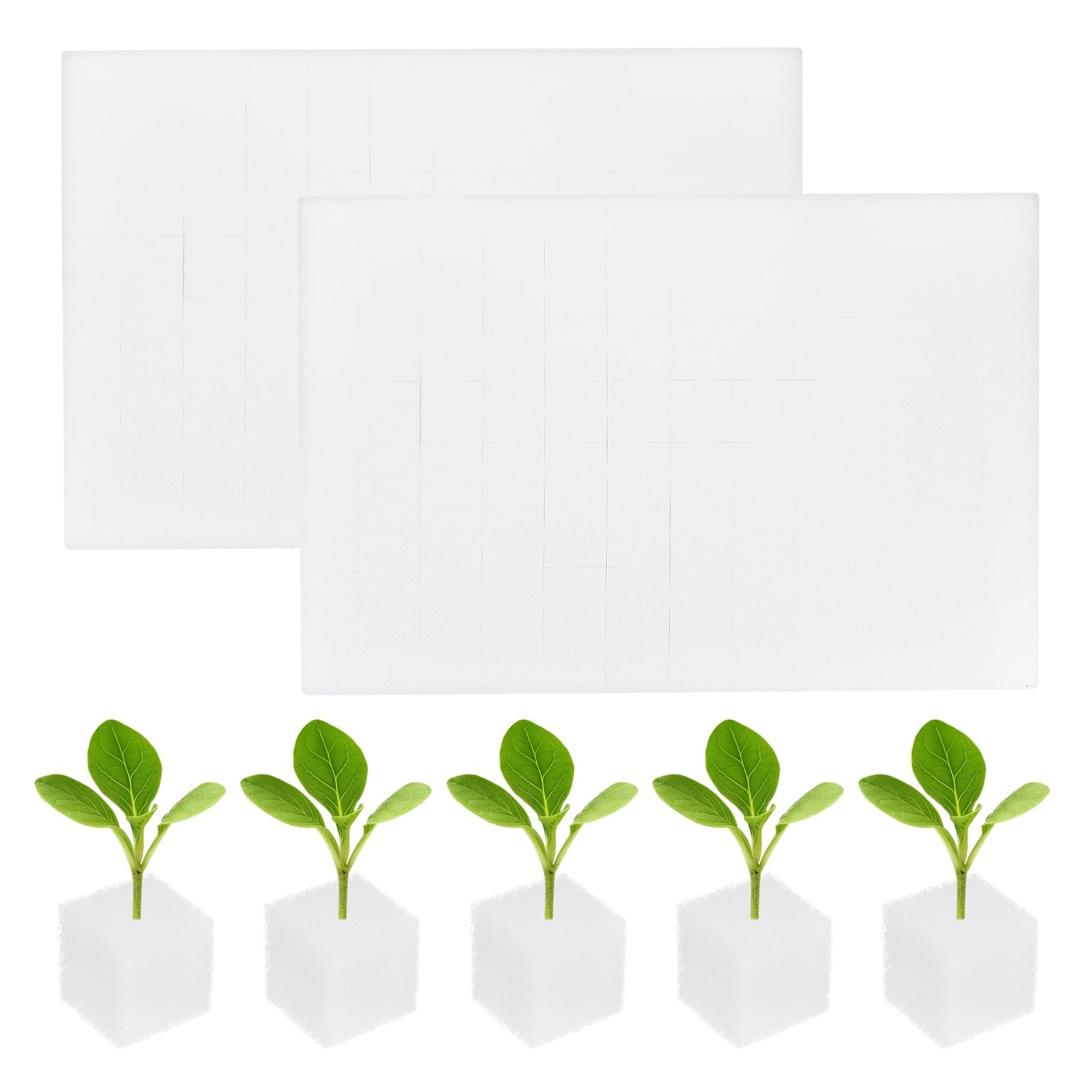 M METERXITY 192-Pack Hydroponics Sponges, 0.98 Inch Growing Media Square Sponges for Planting Gardening Tool/Grow Seedlings/Home Vegetable Flower, Soilless Cultivation Seedling [White]
