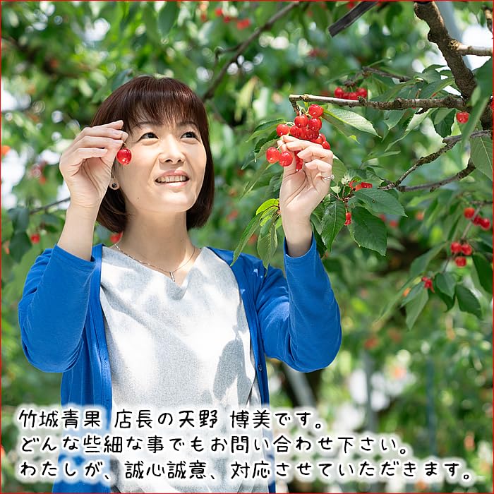 Amazon.co.jp: Takeshii Products, Father's Day, Made in Yamagata