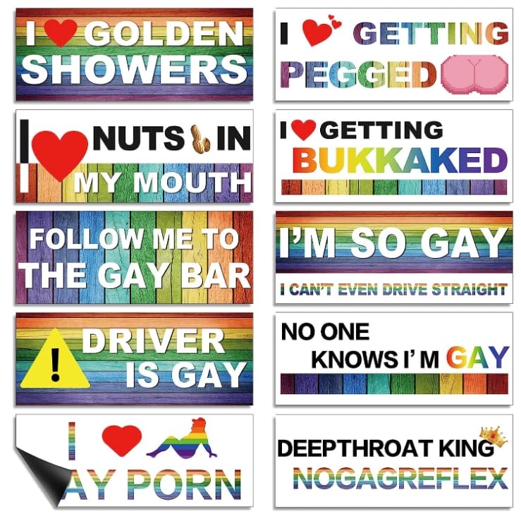 10-Pack Personalized Fun LGBT Bumper Stickers Colorful Magnetic Stickers Accessories Suitable for Cars, Computers, Motorcycles, refrigerators and Other Magnetic Objects