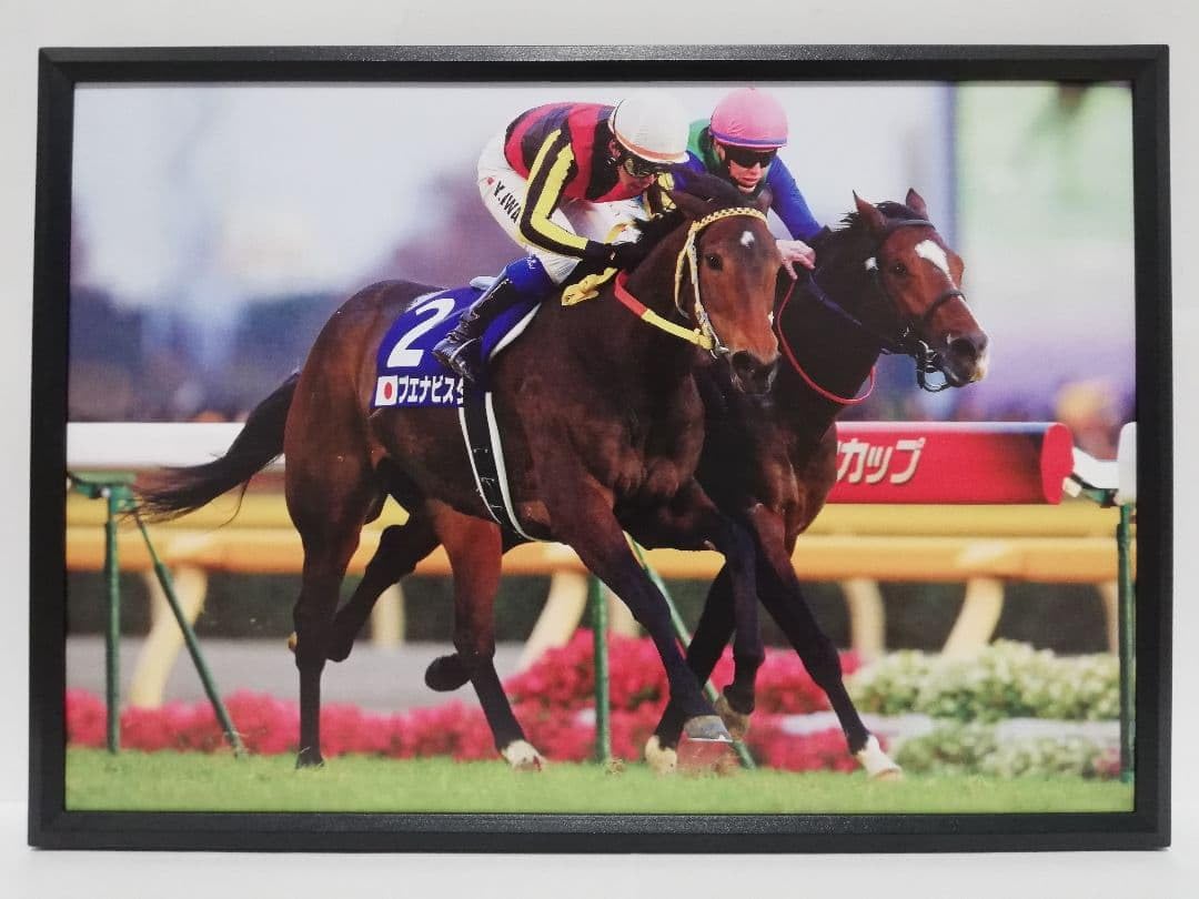 ブエナビスタ、昨年降着の雪辱を果たす/ジャパンC | 競馬ニュース - netkeiba 競馬 ブエナビスタ パネル Record Folder