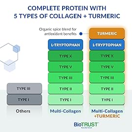 BioTrust Collagen Powder with Turmeric - 5 Types (I, II, III, V, X) - Turmeric Collagen Powder for Women & Men - Hydrolyzed Protein - Grass Fed Beef, Fish, Chicken, Eggshell Membrane (Golden Milk)