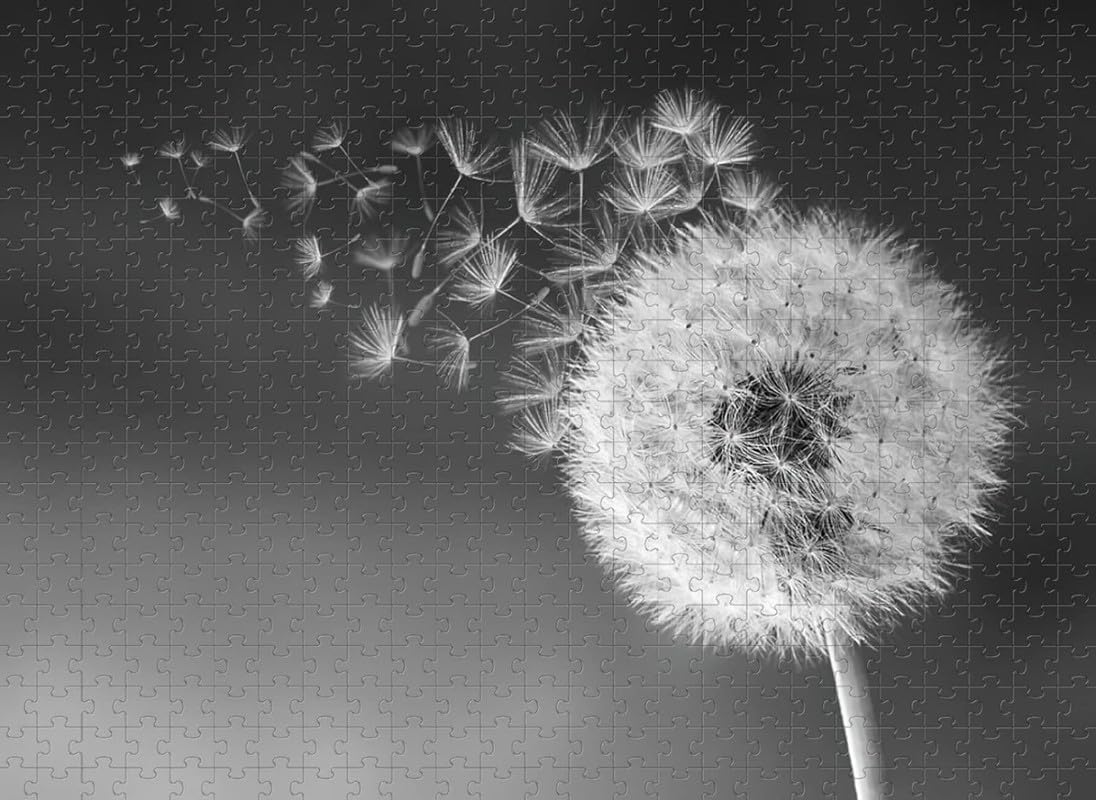 Black And White Dandelion-Adult 4000 Piece Jigsaw Puzzle Intelligence Wooden Jigsaw Teenager Family Stress Relief Game