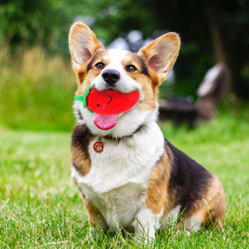 BESPORTBLE Vegetable Toy: Small Plush Toys for Dogs Chilli Soft Chew Dog Toy, As Shown, medium - Image 3