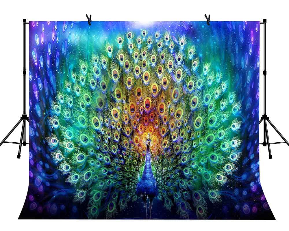 LYLYCTY 9x6ft Colorful Feather Peacock Background Birthday Party Photography Background Props BJZYLY473