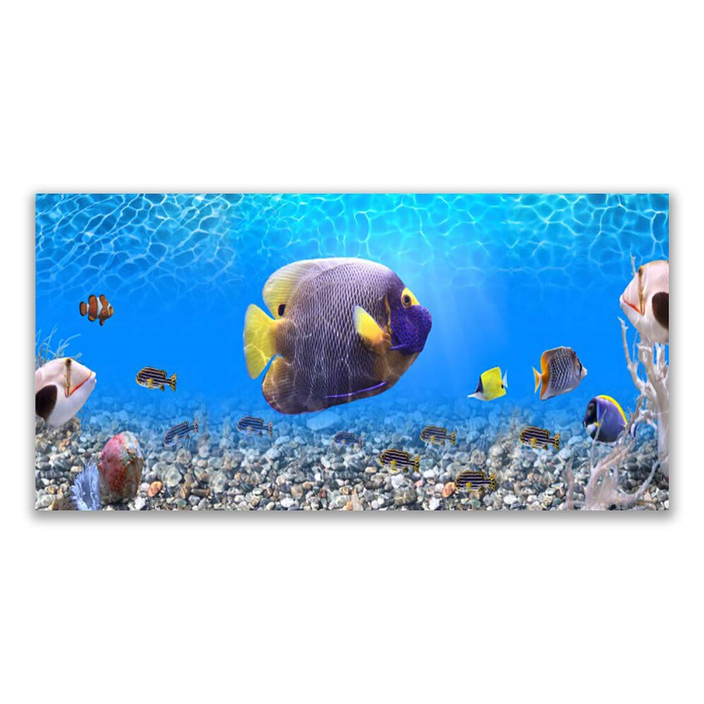 Impression sur verre acrylique Tulup 120x60cm decoration murale nature du poisson avec 4 crochets