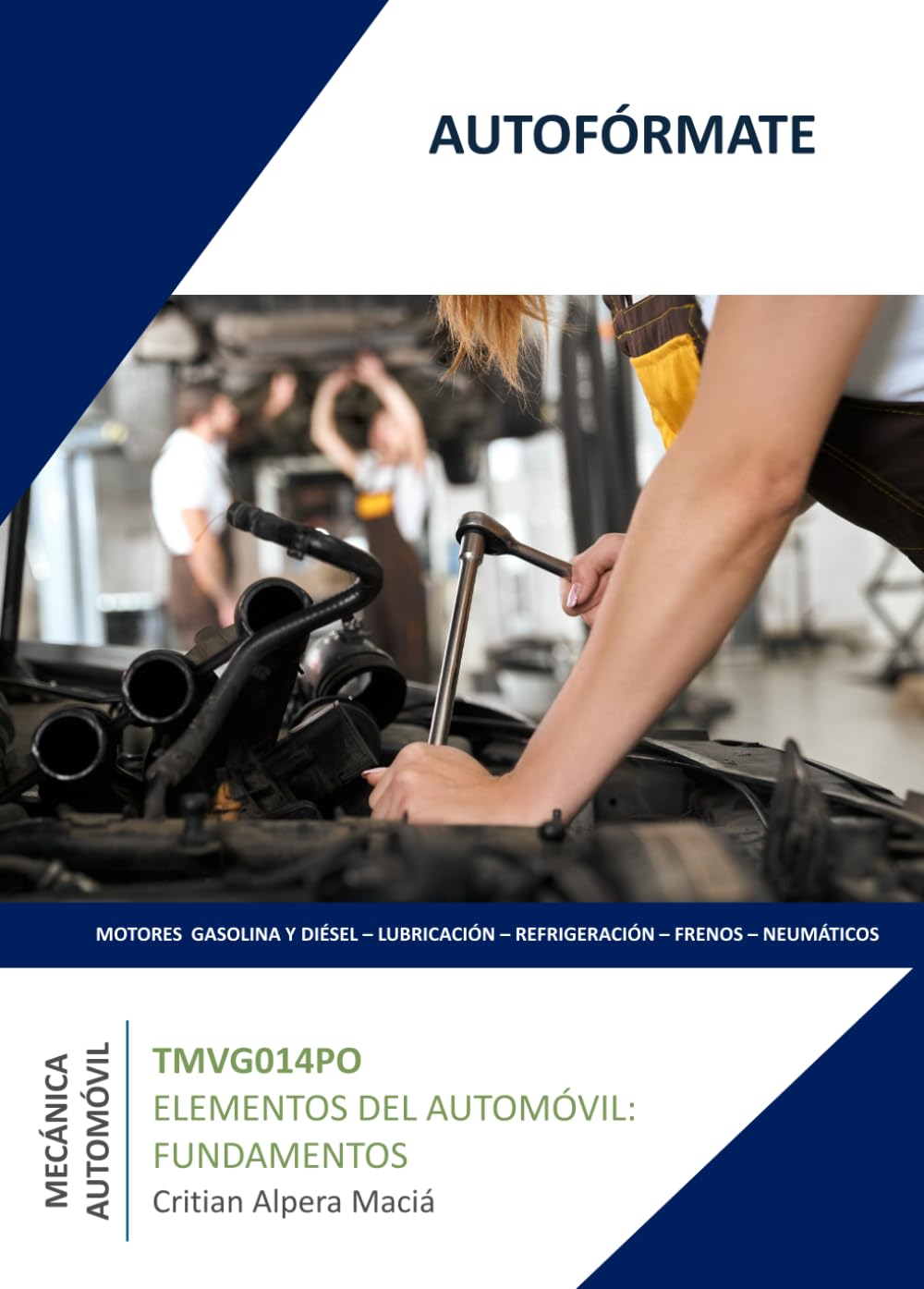 TMVG014PO ELEMENTOS DEL AUTOMÓVIL: FUNDAMENTOS