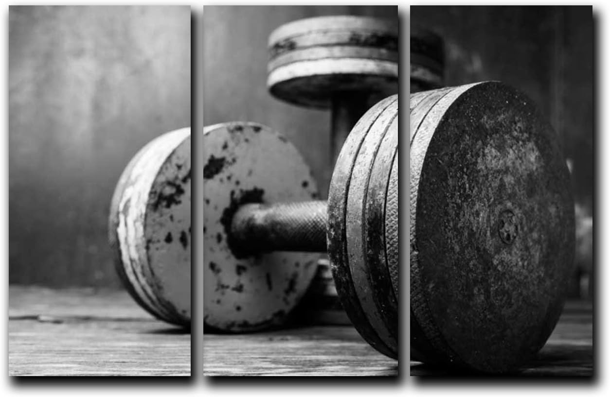 Modular Dumbbells Painting Modern Home Decor Poster 3
