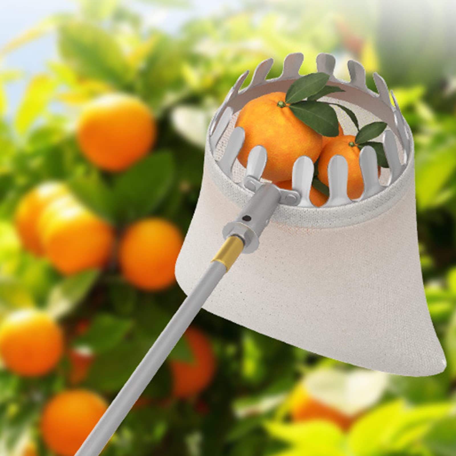 Raccogli Frutta, Testa Raccoglitore Frutta di Diametro 16 cm/6,29 Pollici, Facile da Installare, Raccoglitrice di Frutta Leggera per La Raccolta di Mele, Arance, Ciliegie, Prugne e Altro