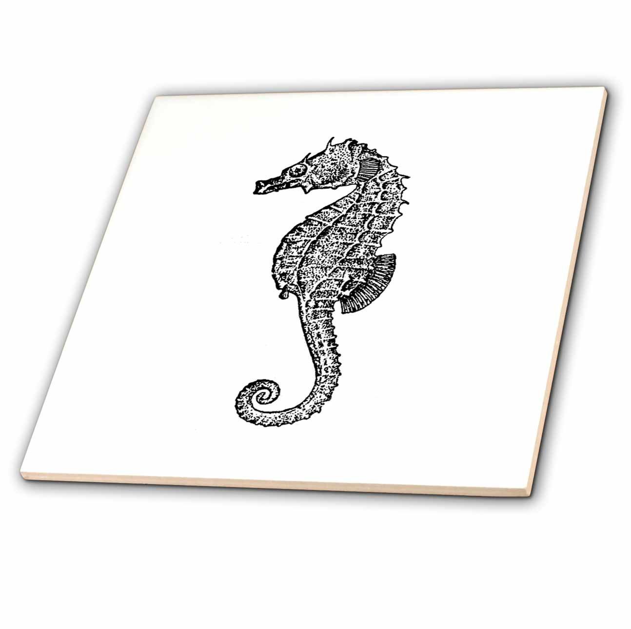 Amazon.co.jp: InspirationzStoreビンテージアート – タツノオトシゴ
