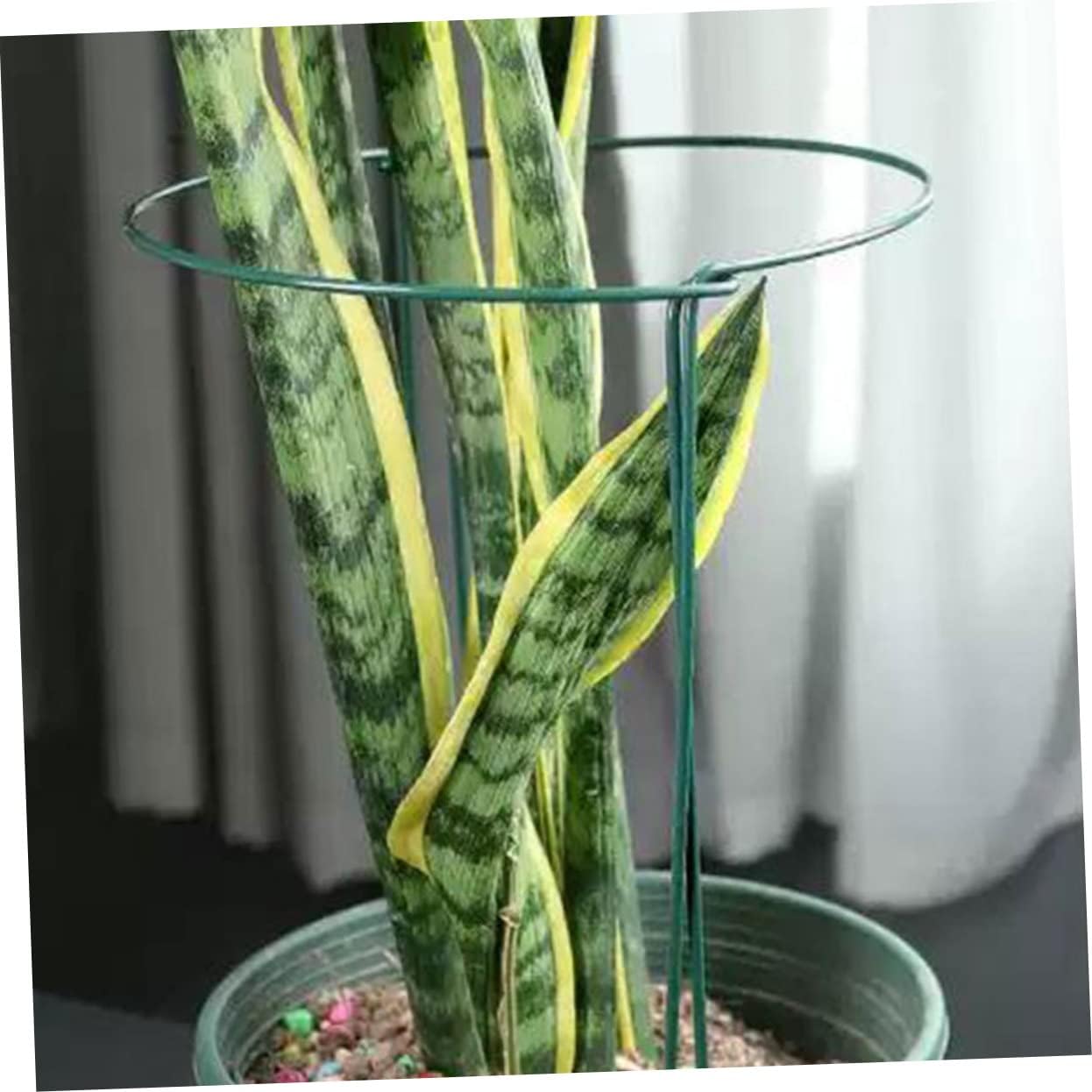 Plant Support Frame Potted Flower Support Circle Pack Plant Stakes for DIY Plant Rack Sturdy and Sturdy