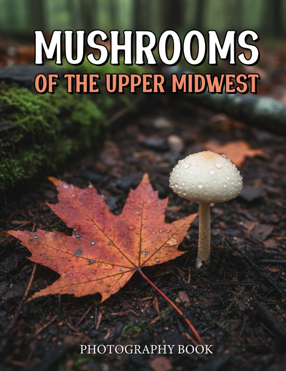 Mushrooms of the Upper Midwest Photography Book: Explore The Hidden Beauty Of Midwest Fungi Through Stunning Photography