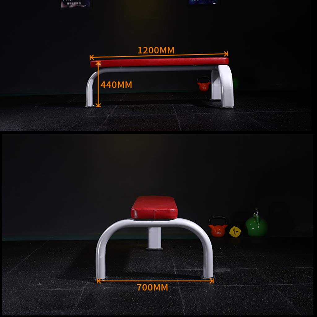 N / A Panche pesiPanca con Manubri, Panca CN Manubri per Uso Professionale, Panca per Pesi con Panca, Tavola Fitness per Sit-up, per Palestra e Studio Privato