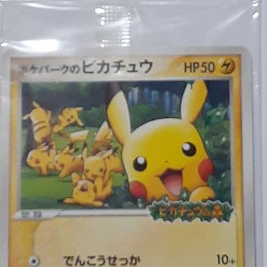 ゆったり柔らか ポケモン パズル ポケパーク2005 レア