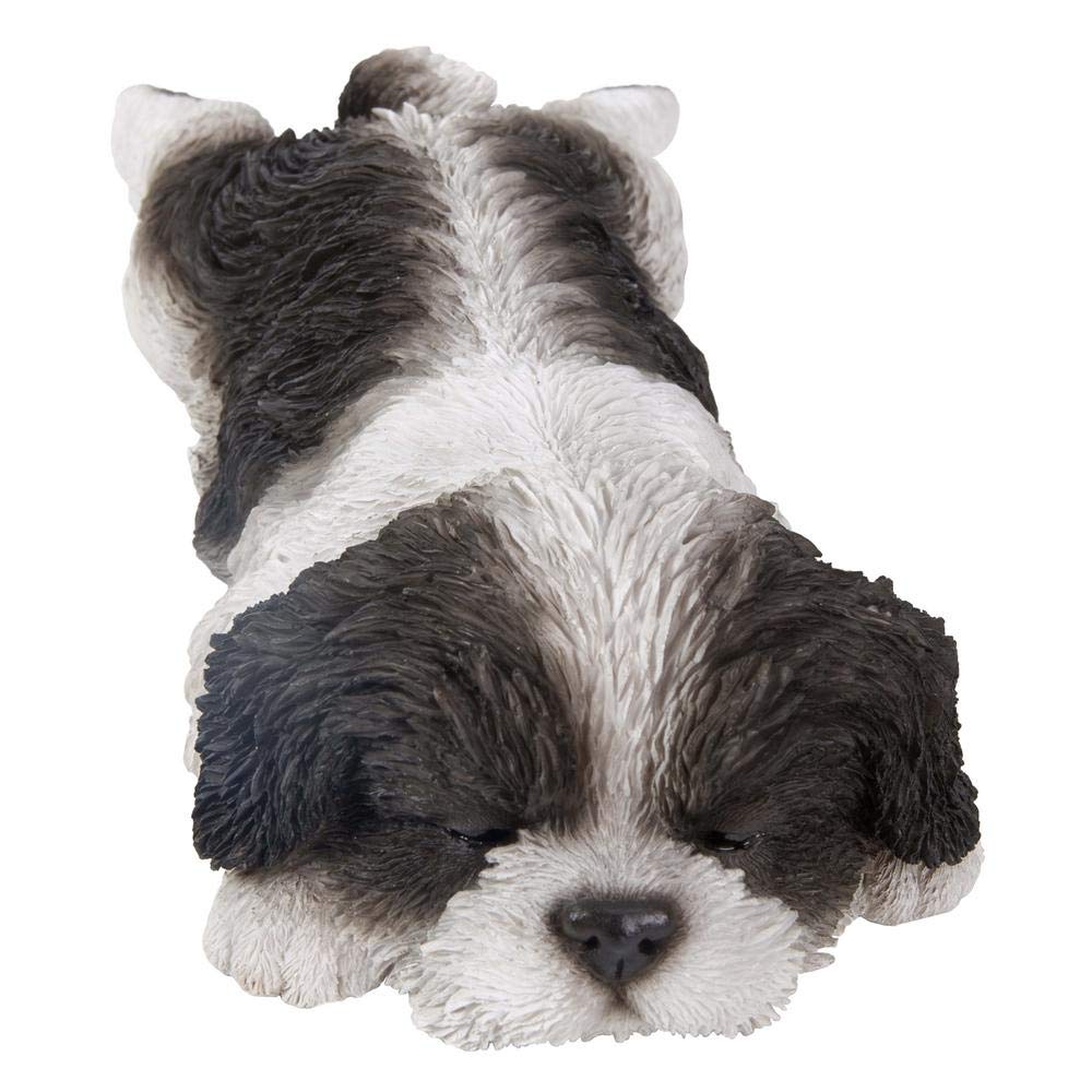 Amazon.com : Hi- Line Gift 87710-J Shih Tzu Puppy Sleeping