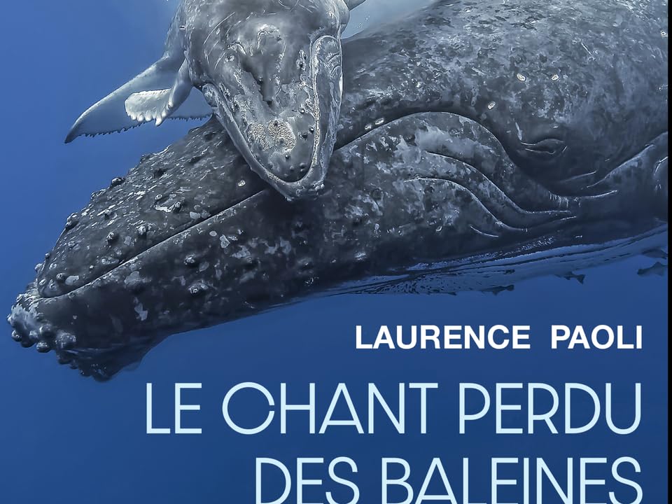 Laurence Paoli - Le chant perdu des baleines: Quand la pollution sonore étouffe les voix de l'océan (2025) Laurence Paoli - Le chant perdu des baleines: Quand la pollution sonore étouffe les voix de l'océan (2025)