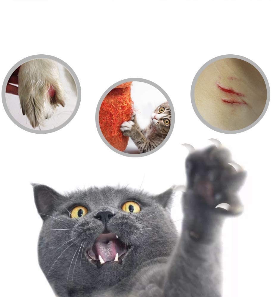 Molinillo de uñas for Perros - Potencia eléctrica Potente de 2 velocidades Trimmer de Clavo Profesional Tranquilo Patas indoloras y suavizantes for pequeños Perros Grandes y Gatos