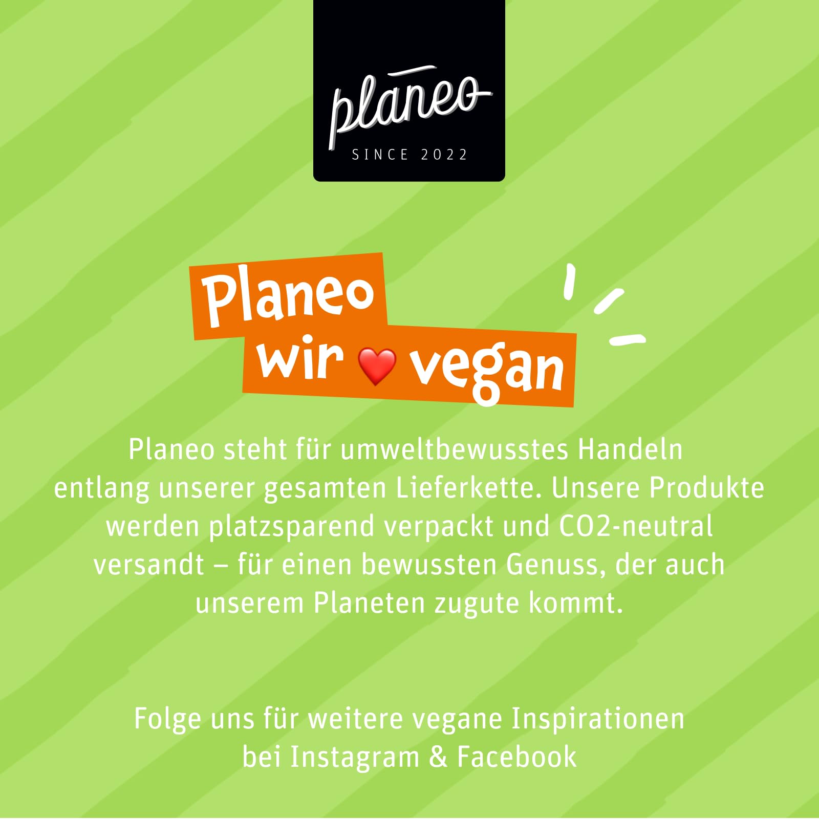 Planeo Tempeh Geräuchert 6x200g - Beste Qualität - Lange, ungekühlt haltbar - mild geräuchert - Soja aus der EU - Planeo (6 x 200g)