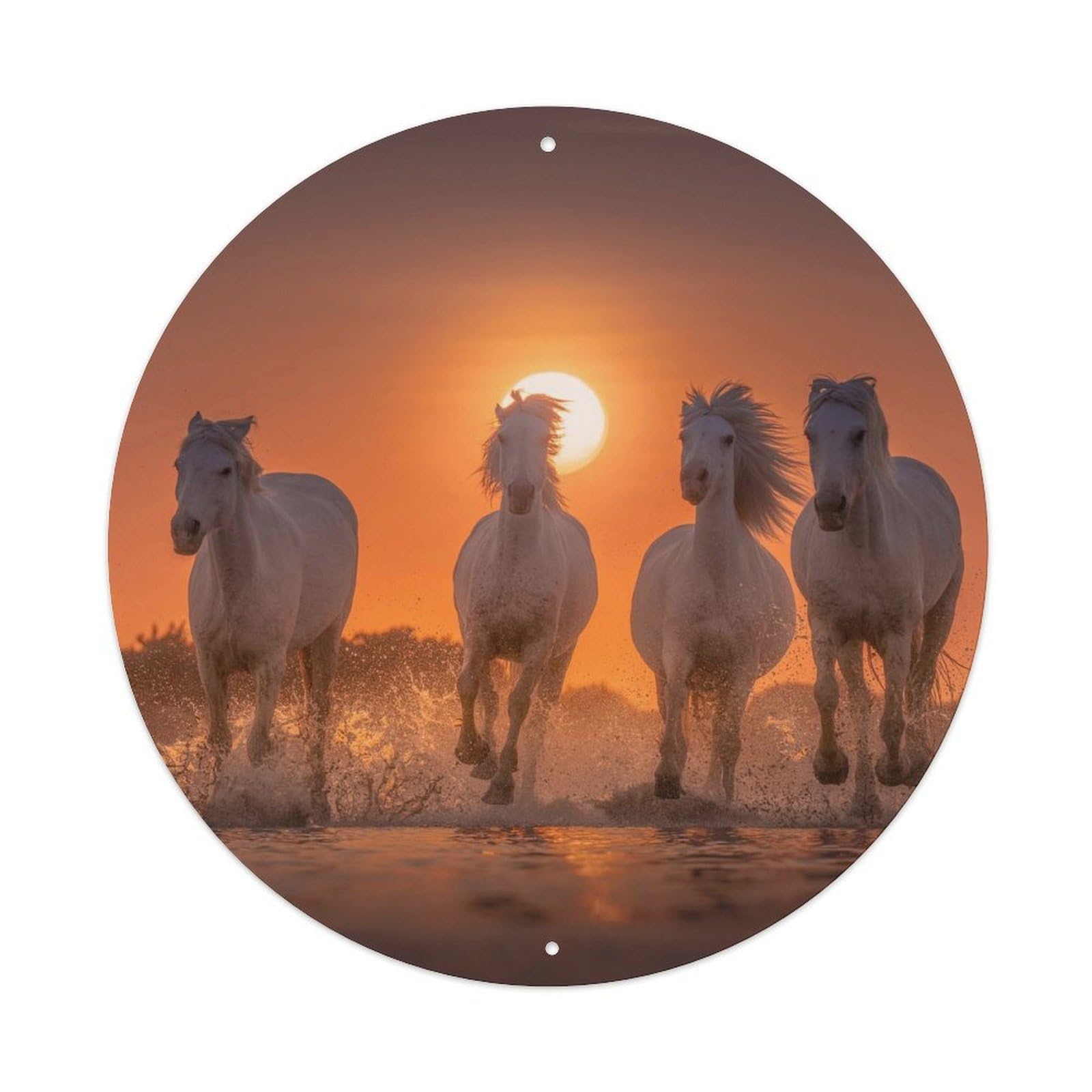 Horse Nature Scene Golden Sunrise Poster Metal Tin Sign