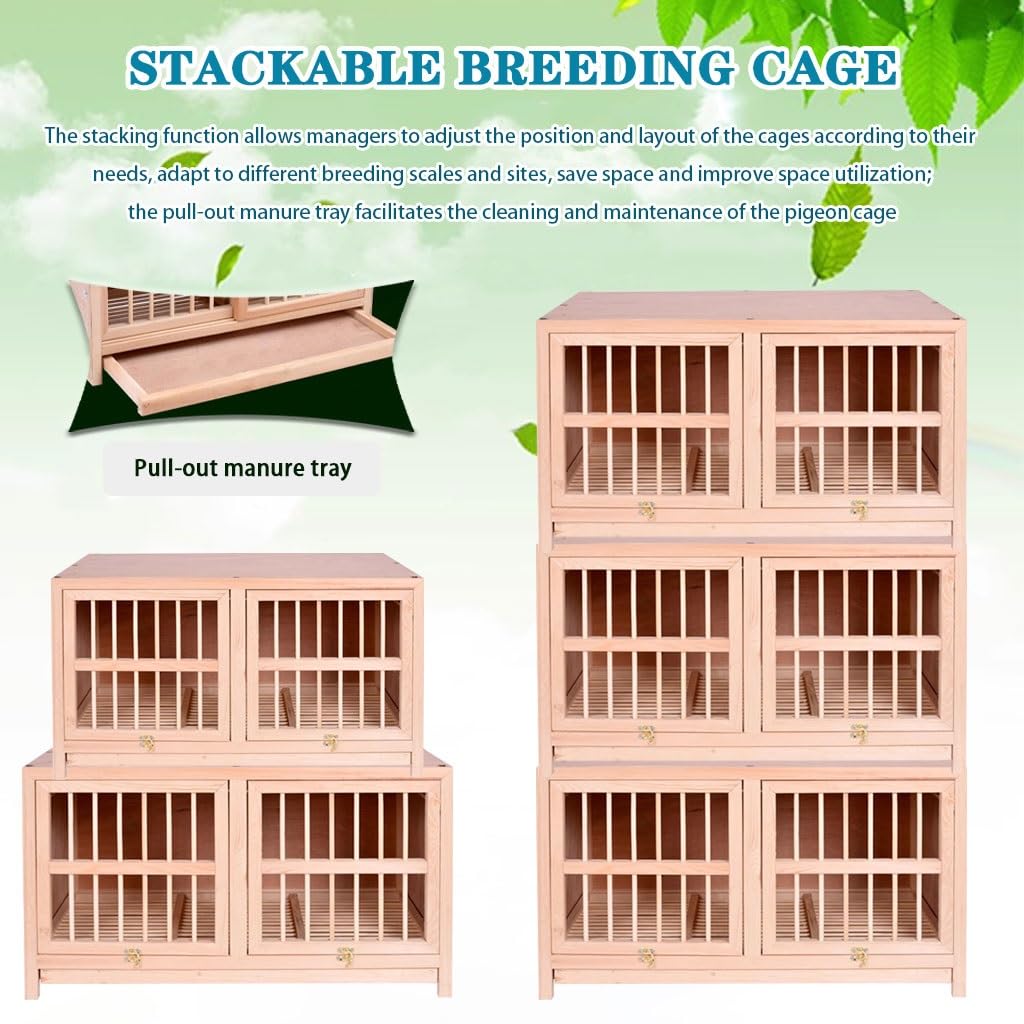 Jaula para Palomas de Exterior de Madera Maciza, Paquete de 3 Unidades, con Separador, Ideal para alimentación y cría, diseño Espacioso (80 cm x 3), Duradera y Resistente a la Intemperie.