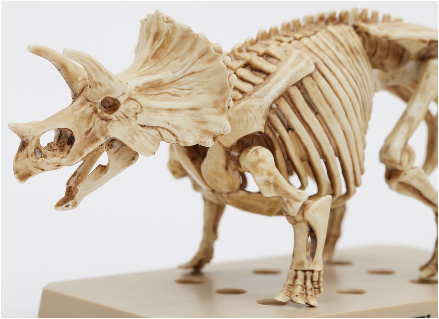 マルサン　福袋品ネオンカラー成形色　ゴロザウルス　メーカー塗装 マルサン 福袋品ネオンカラー成形色 ゴロザウルス メーカー塗装