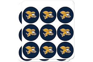 Canisius College Planner Stickers Inspire Student Organization