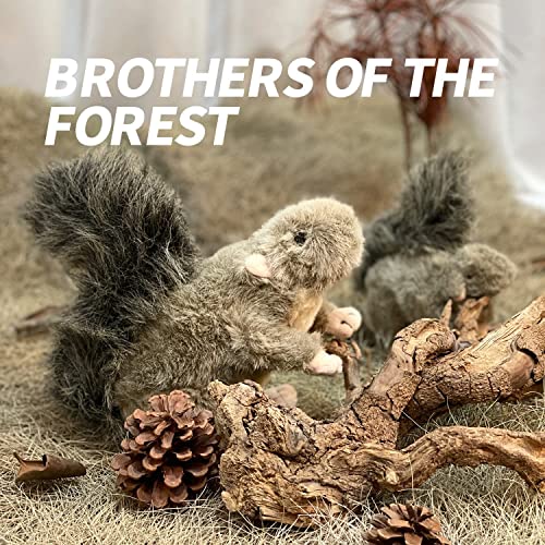 All For Paws Classic Squirrel Pet Toys, Small #TOP3