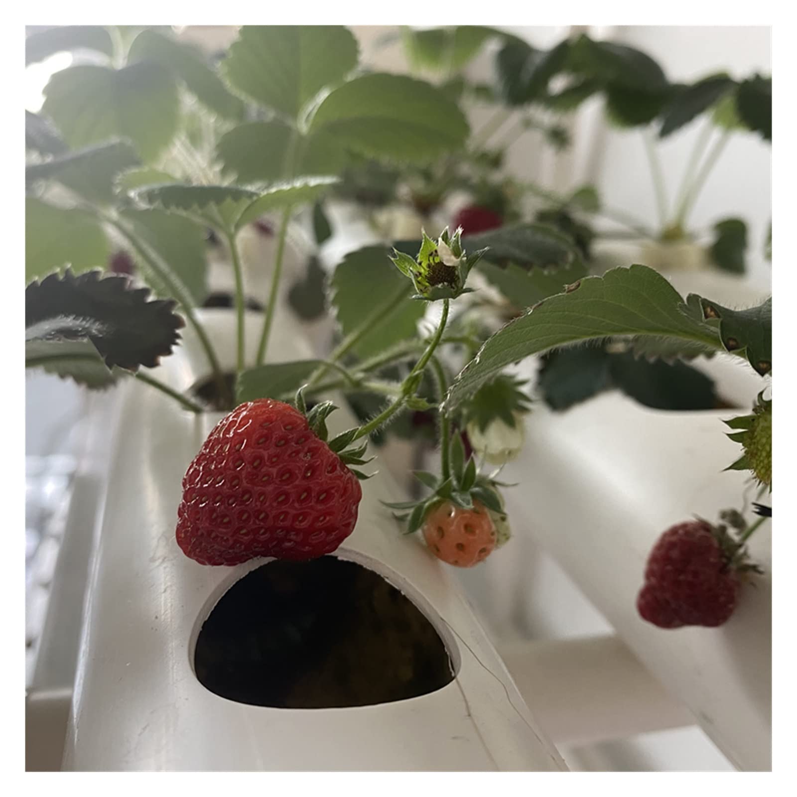 Kit de sistema de cultivo hidropónico, de cultivo hidropónico, kit de jardín, equipo agrícola, tubería de PVC, de cultivo hidropónico vertical, plantador de invernadero familiar para el cuidado y rieg