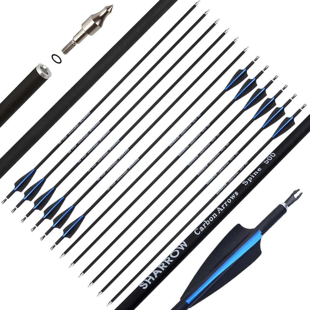 AMEYXGS 30 Inch Carbon Arrow Practice Hunting Arrow with Removable Tips and Pin Nock for Compound Bow and Recurve Bow Targeting Hunting Shooting(Pack of 12) (Blue)