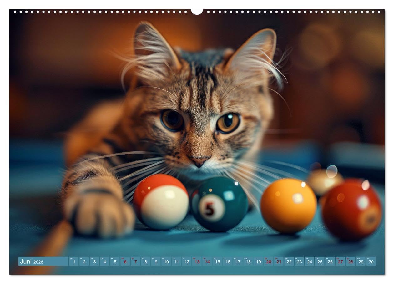 Tierische Balljunkies (hochwertiger Premium Wandkalender 2026 DIN A2 quer), Kunstdruck in Hochglanz: Ballsport und Tiere zusammen, das garantiert eine lustige Zeit