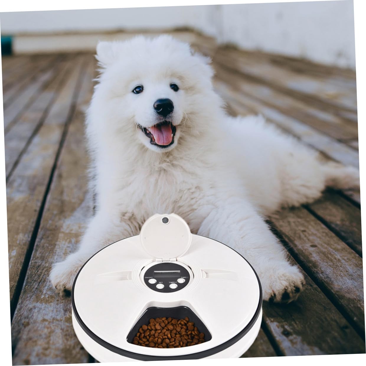 Alimentador Automático Temporizado para Mascotas de 90g Negro Abs | Dispensador de Comida para Perros, Diseño Desmontable y Almohadilla Antideslizante, para Colocar Esquina