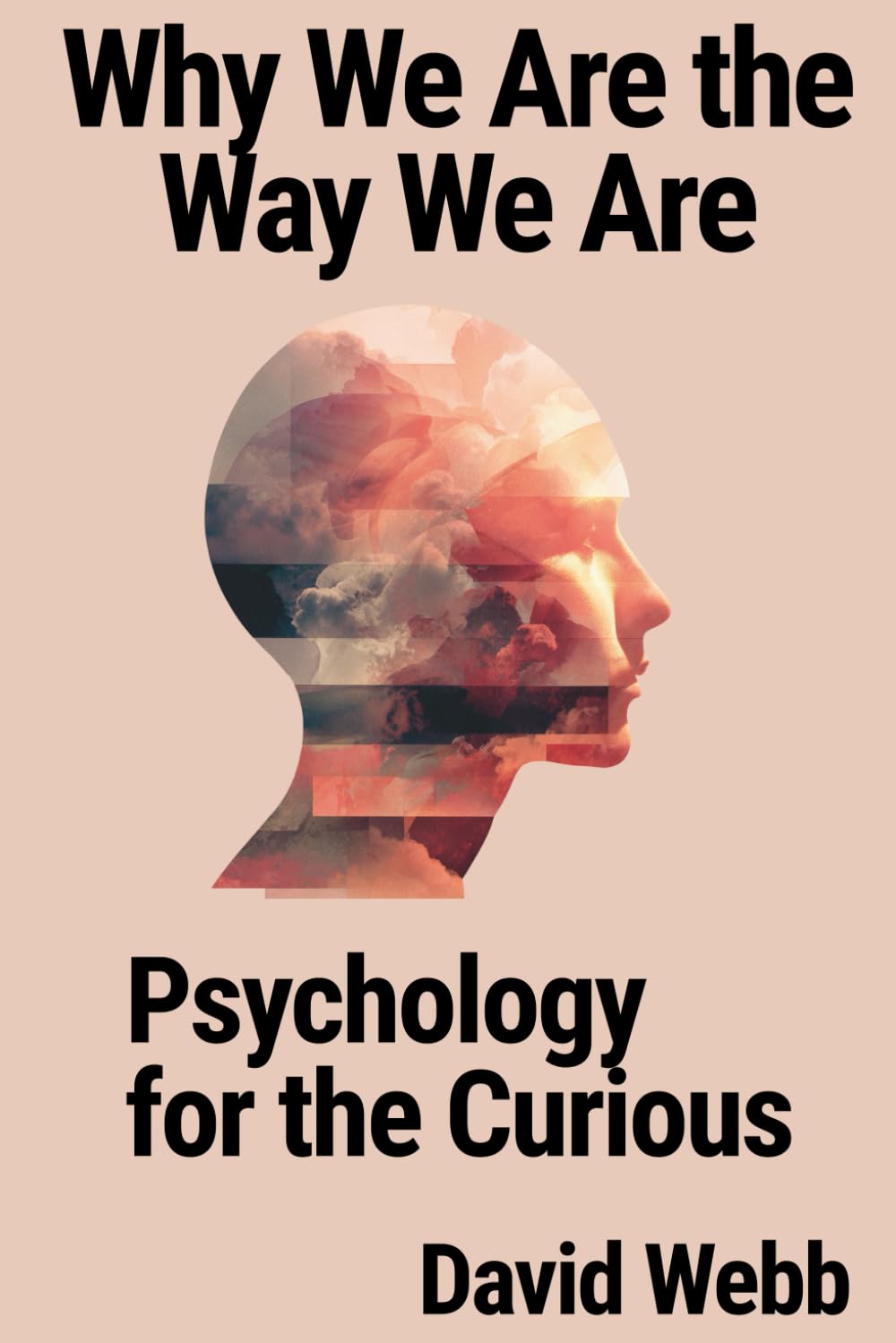 Why We Are the Way We Are: Psychology for the Curious