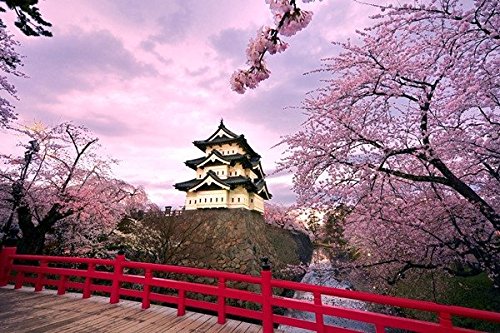 世界に50枚限定 スポンジボブポスター JAPAN SAKURA PINK Japanese