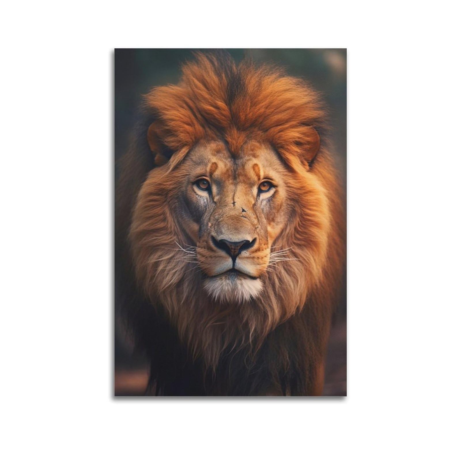 HUIYHB Wildlife Poster Asiatic Lion Poster Decorative Painting Canvas Wall Posters And Art Picture Print Modern Family Bedroom Decor Posters 24x36inch(60x90cm)
