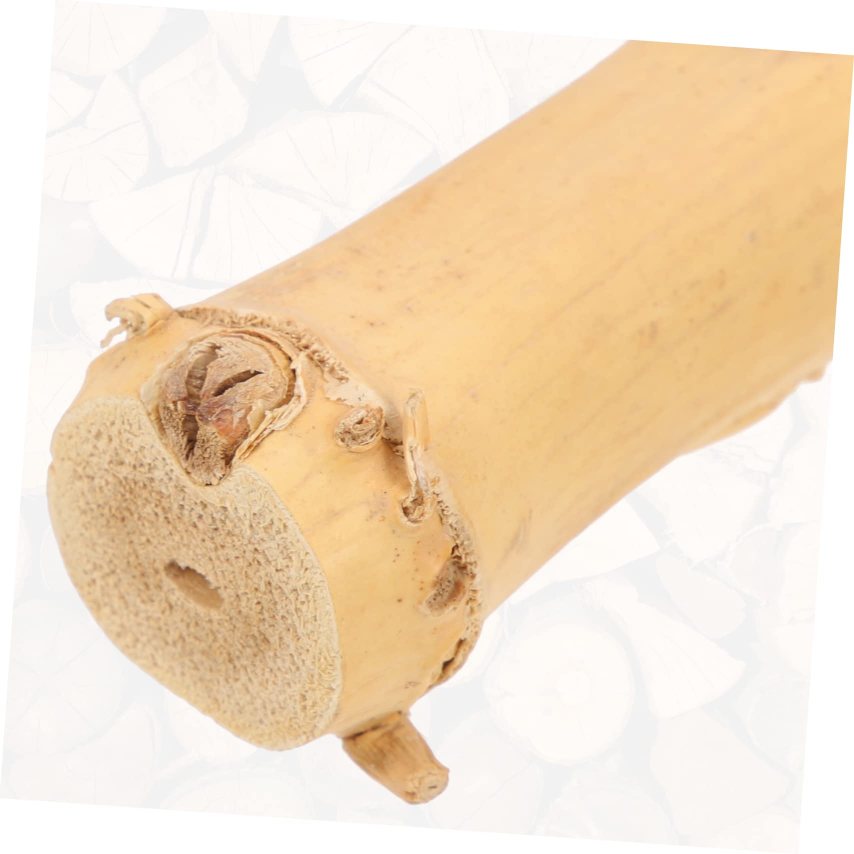 Mipcase 4piezas Soporte Decorativo para Terrarios De Dragón Barbudo Juguete De Escalada De Madera Ventosa para Reptiles Accesorio para Crear Un Saludable y Divertido