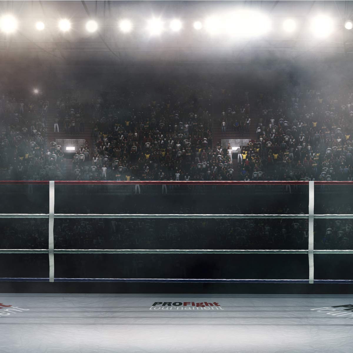 Muralo Papier Peint Auto-adhésif Garage Ring de boxe Boxe Sport - 416x290 cm