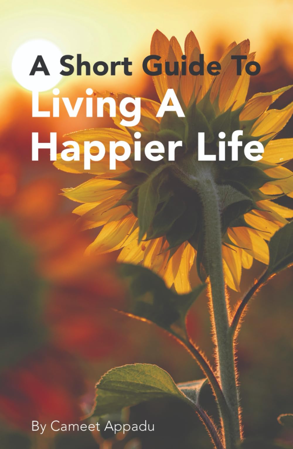 A Short Guide To Living A Happier Life
