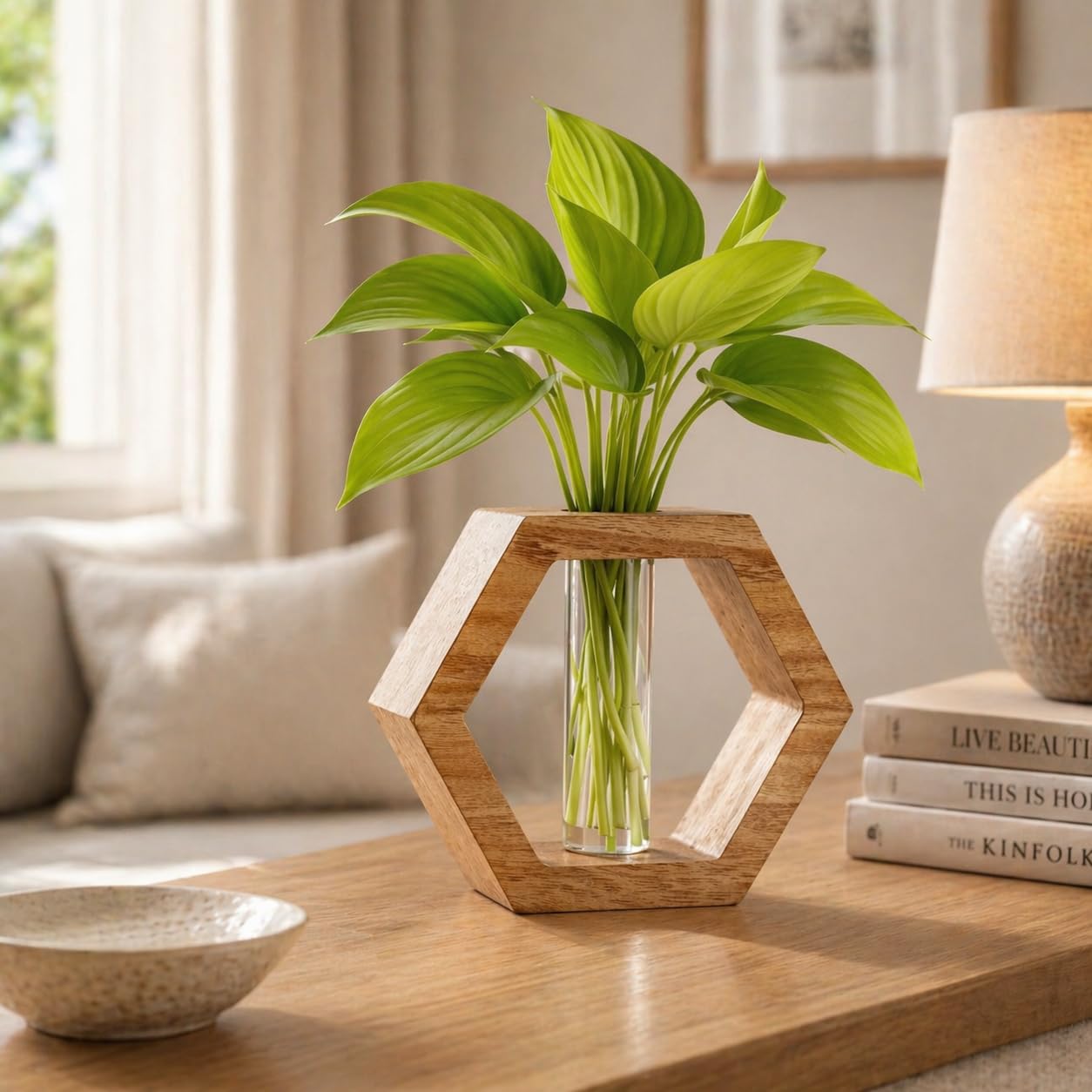 ZS Collection Wooden Test Tube Planter 14Lx 12Wx 3.5H Cm | Glass Test Tube with Wooden Holder | Hydroponic Test Tube Vase | Decorative Glass Planter with Wooden Stand for Living Room & Home Decor-image-9