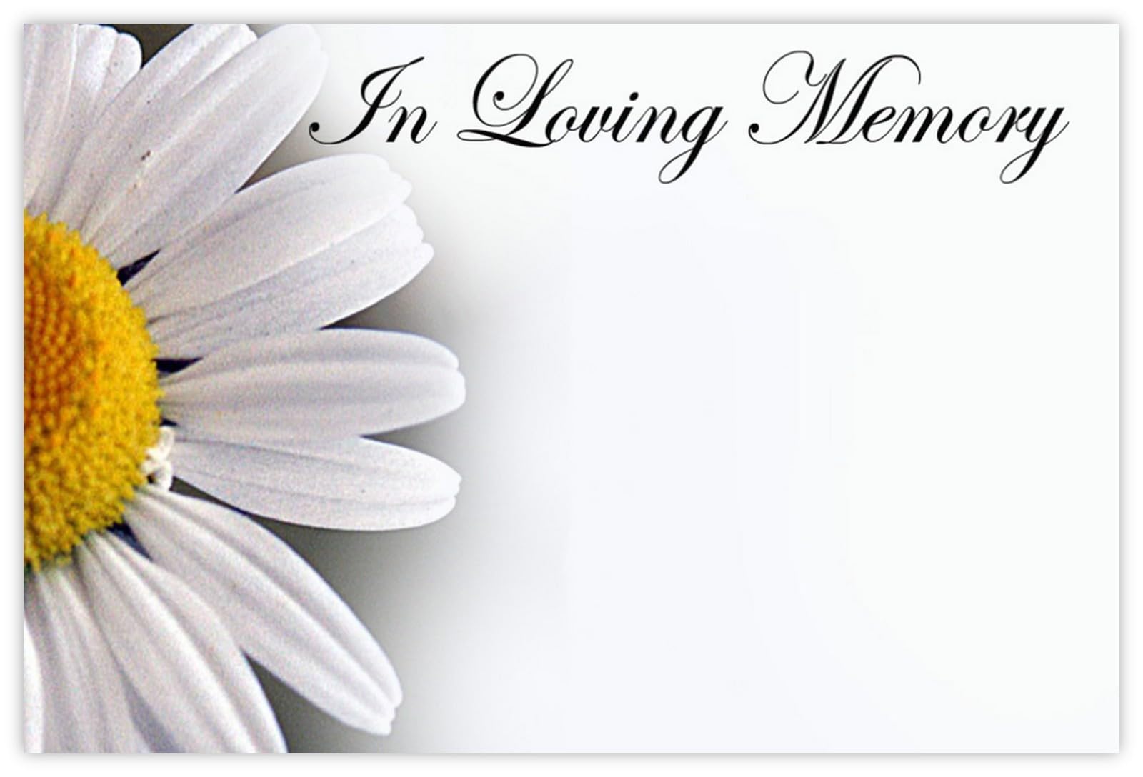 celloexpress In Loving Memory (White Daisy) Flower Message Cards - 60mm x 90mm - Bereavement Florist Card Sympathy Condolences Notes (Pack of 50) โ image 1