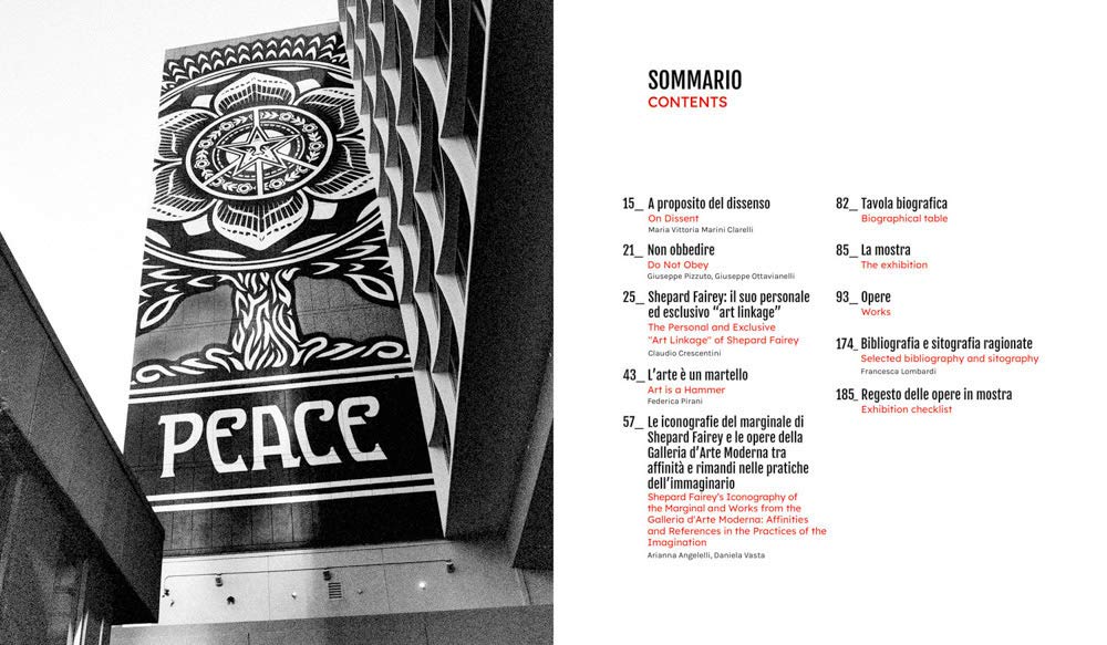 Shepard Fairey: 3 Decades of Dissent (Arte)