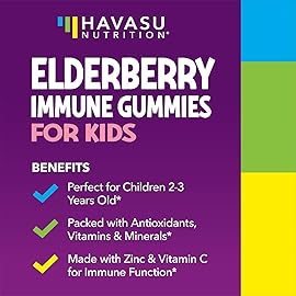 Elderberry Gummies for Kids with Zinc and Vitamin C - Immune Support Supplement for Children - 60 Count, Vegan, Berry Flavor - Convenient Daily Defense with Antioxidants and Essential Nutrients