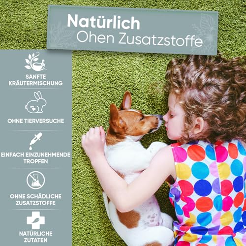 animigo Wermut Tropfen für Katzen & Hunde - 120ml Tropfen - 1+ Jahr Vorrat - Mit Wermut, Schwarzkümmel und Samenextrakt - Alternative zu Wermut Tabletten - Für Katzen und Hunde jeden Alters