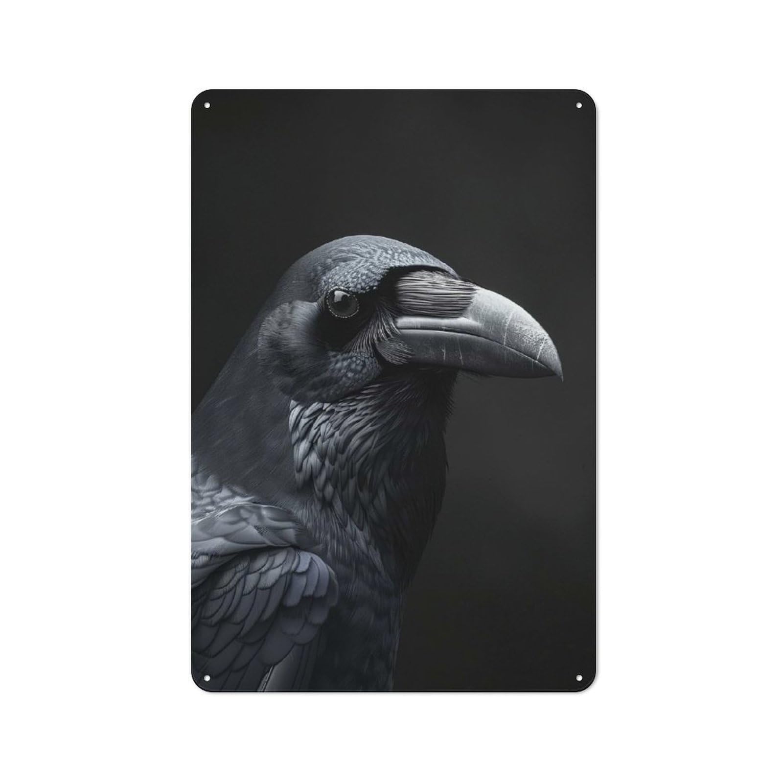 Junmoney Style-9 Retro Crow Vintage Metal Sign 30X20cm, Room Wall Plaque For Flat, Dorm Room, Lounge Or Cafe