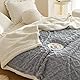 RongRongIN Kuscheldecke 180x200 cm Herbst Winter Flauschig Decke für Bett Sofa Couch – Grau Blau, Extra Weich Doppelgesicht Wohndecke Tagesdecke Sofadecke Couchdecke Überwurfdecke Biber Warm