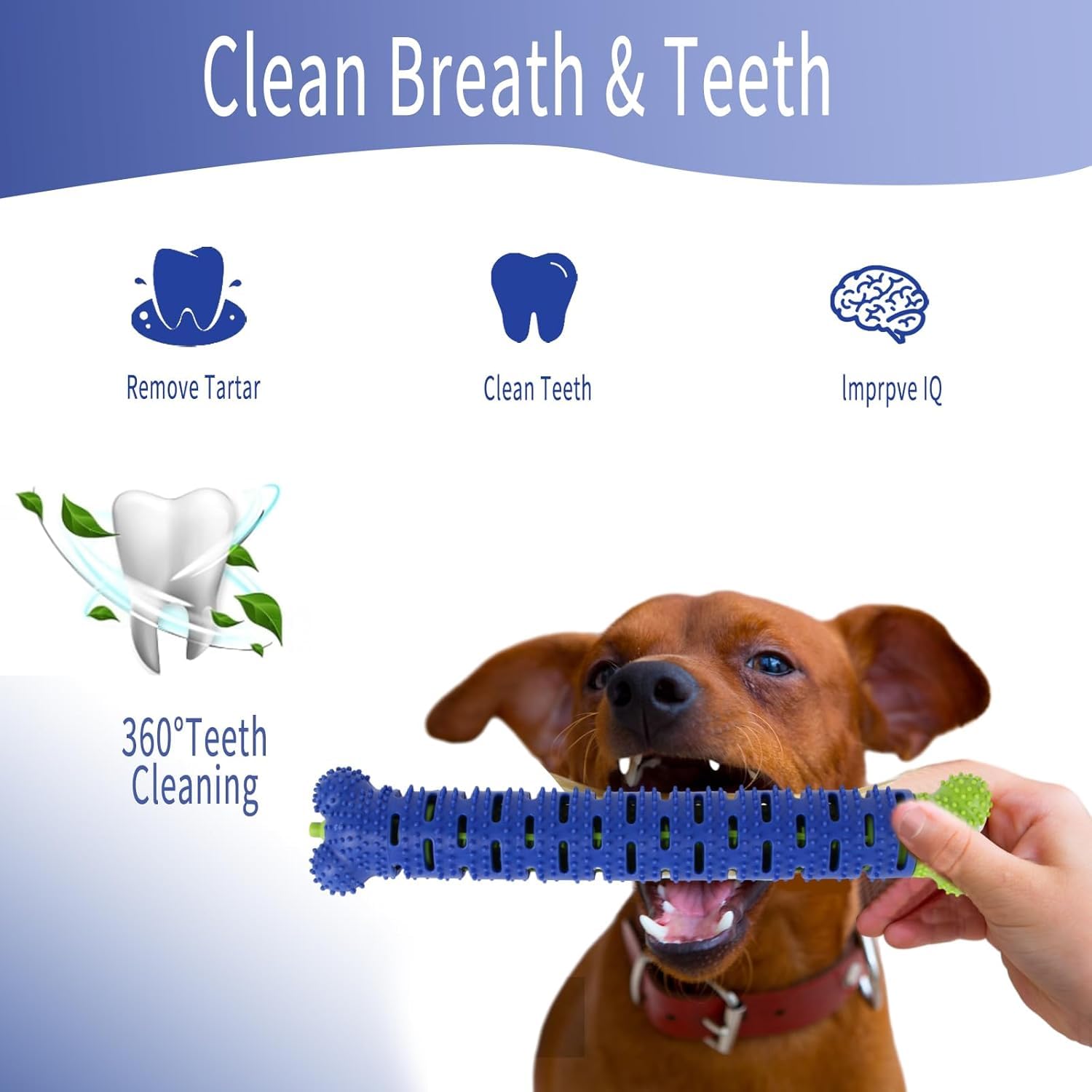 Yeipis Dog Chew Toys Toothbrush and Toy - No Dogs Toothpaste Required - Great Teeth Cleaning Toy Dog Toys for Small Medium and Large Dogs 4