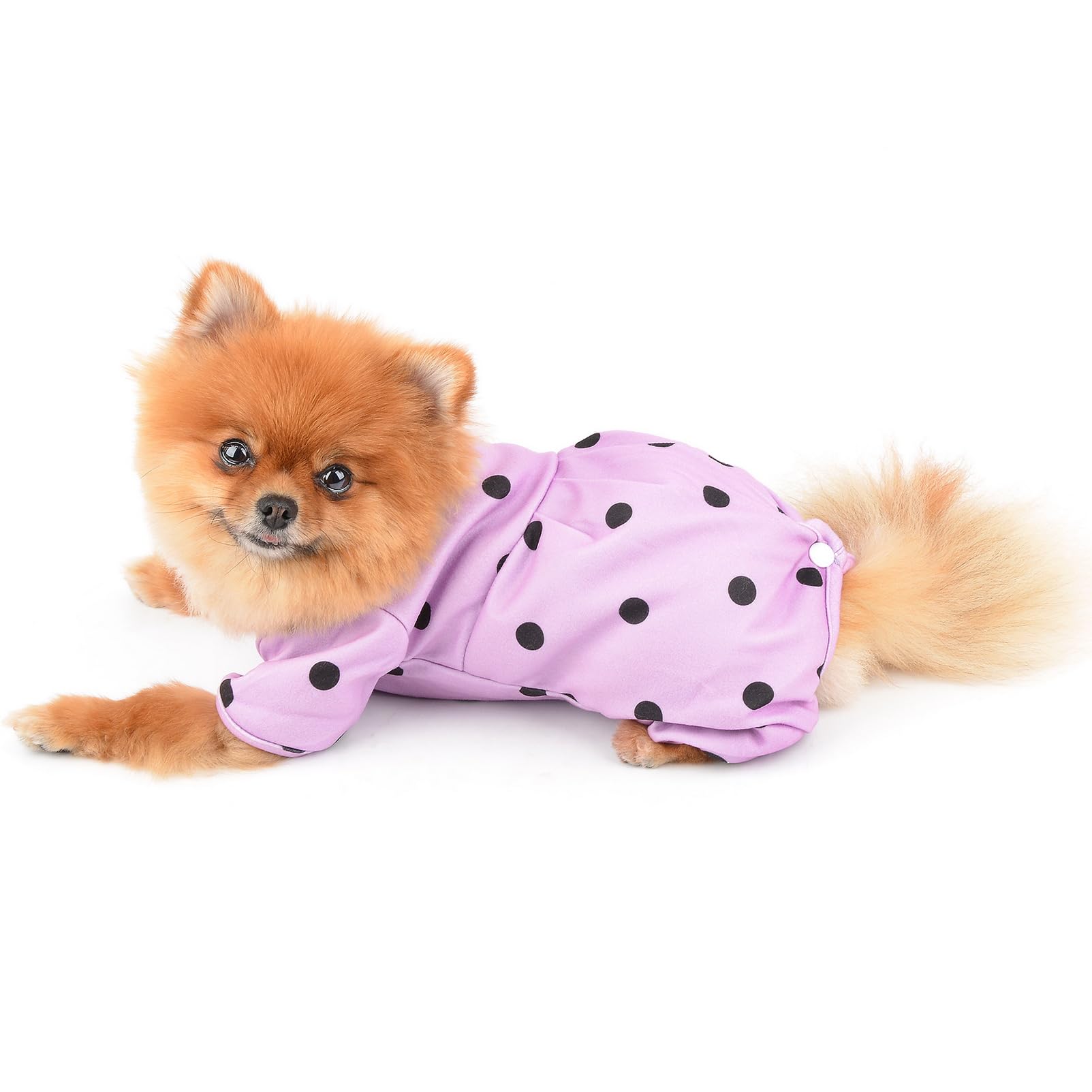SMALLLEE_LUCKY_STORE Small Dog Clothes Cute Retro Dots Puppy Pajamas Pjs Belly Cover Cat Pyjamas Stretchy Jumpsuit Warm Sleepwear Outfits for Yorkie Chihuahua,Purple,M - Image 4