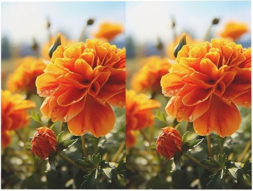 Miniatura 8 de CSGJMYGS Tarjetas de felicitación de flores de caléndula con sobres, tarjetas de agradecimiento con sobres, tarjeta de feliz cumpleaños, 4 x 6