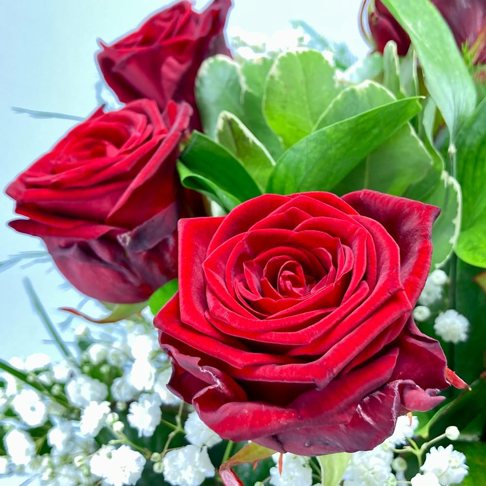 Roter Rosenstrauß - Blumenstrauß mit 10 roten XXL Rosen und Schleierkraut - Inklusive gratis Grußkarte