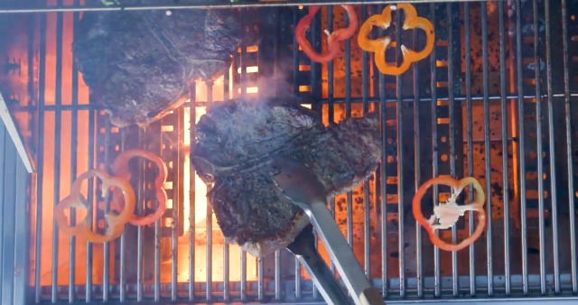 Amazon.com : Backyard Discovery Fusion Flame Galvanized Steel
